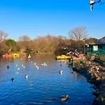 Teal - A Few Steps From The
