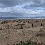 Teal - A Few Steps From The *