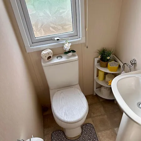 Teal - A Few Steps From The