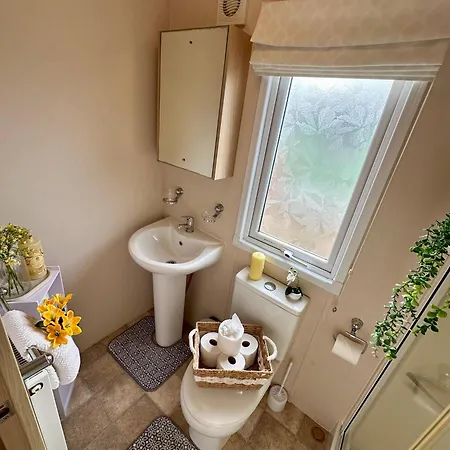 Teal - A Few Steps From The *