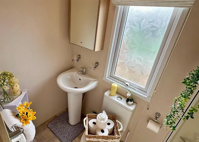 Teal - A Few Steps From The *