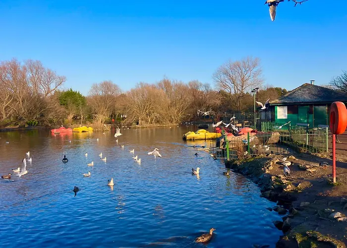 Teal - A Few Steps From The